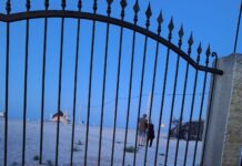 Mikaela: Scrisul care dezleagă misterul și aduce tămăduirea